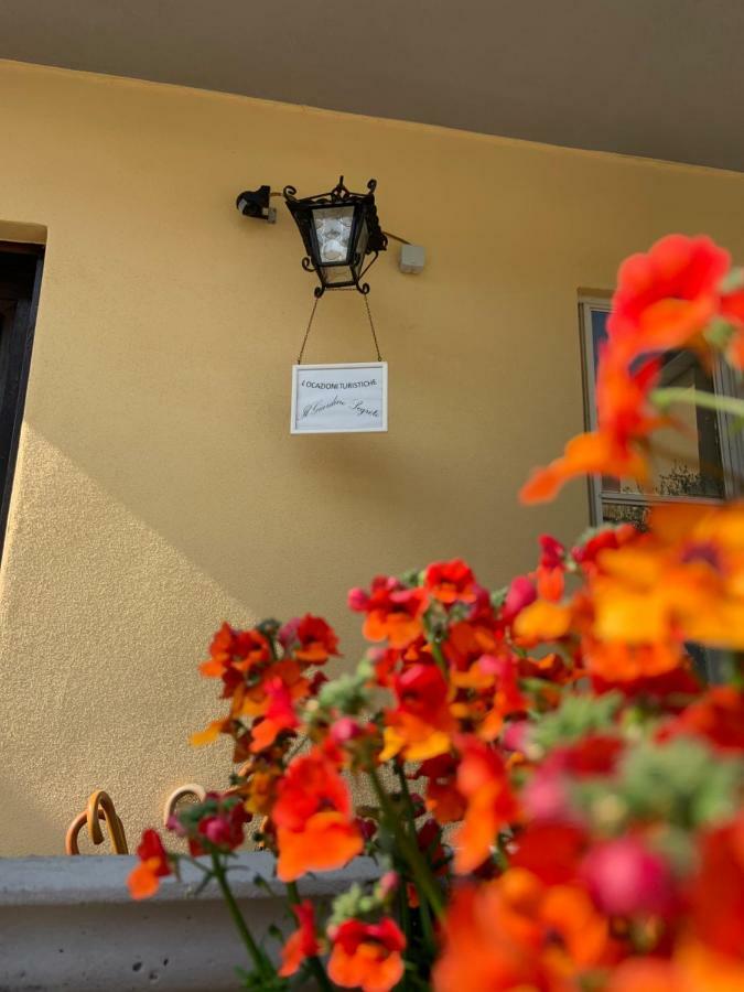 Apartmán Il Giardino Segreto Pisa Exteriér fotografie